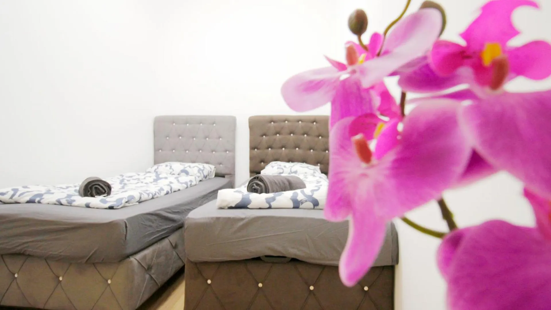 Family Apartment In Brigittenau ウィーン 0*,  オーストリア